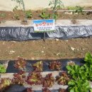 탄천면사무소 이미지