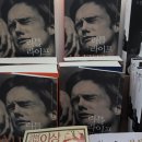 [공지] 서울국제도서전 2026, 사람 파도 헤치고 다녀온 후기 (출판사별 부스 총정리)