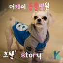 더케이 동물병원 이미지