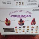 몽키푸드 | [서울] 홍대 아사이볼 아사이몽키 프리미엄 아사이볼 후기