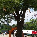 행운파크 이미지