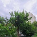 육보숯불갈비 이미지