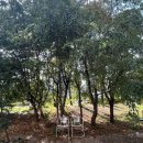 웨이투웨이 이미지