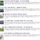 아이엠플래닝 이미지