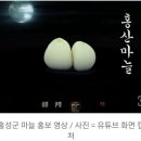 홍성군 마늘 홍보영상 선정성 논란…농민들 "사과해라" 이미지