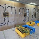 영진전기 이미지