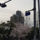 충신한의원 이미지