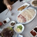 청풍수산 | (내돈내산) 묵호항 수산시장 갈 필요 없네? 현지인 찐맛집 '청풍횟집' 2일 연속 출석한 썰 (모듬회, 물회)