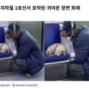 쏘스윗 이미지