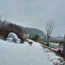 (주)산강아지 이미지