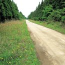 건영목장 이미지