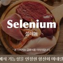 지노에너지 이미지
