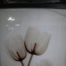 평택-W-040 이미지