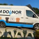 미스터로빈 이미지