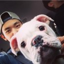 진짜 Daum카페