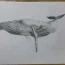 색연필 그림그리기 이미지