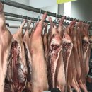 황우축산 이미지