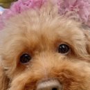 고양공원(배드민턴장 근처) 이미지