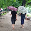 [수다.05.] 접지(earthing)로 따라온 자유전자가 아픈 내 몸을 살리는 제대로된 맨발걷기 효과 이미지