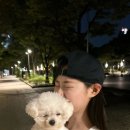 신슬기 카카오 검색결과