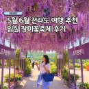 꽃기운 | 5월 6월 전라도 임실 여행 가볼만한곳 추천 장미꽃축제 개화 후기