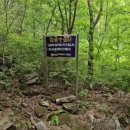 감로수약수터 이미지