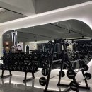 더블유짐 율전13호점 | 헬스장주차및가격정보[수원장안구더블유짐율전13호점]