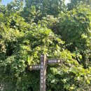 모악산공영주차장(중인리) 이미지