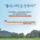 메밀꽃막국수 이미지