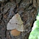 물의합창 이미지