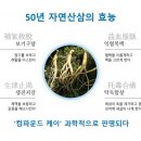 라파테라피