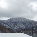 산음휴양림 달빛마을 이미지