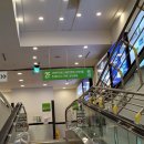 웰니스펫뷰티 이미지