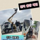 찐이네 이미지