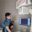 탑벳 동물병원 이미지