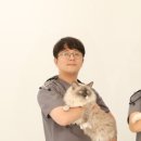 나아라 동물병원 이미지