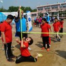 안양초교_동 이미지