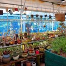 양자농장 | 치유농업 및 치유농장 마케팅에서 4C 전략