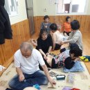 완도8호 이미지