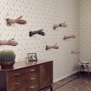 기초생활영어(초급) 이미지