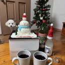 바닷가예쁜집 | 제주도 2주살기 감성 숙소 추천｜바닷가 바로 앞 시골감성 숙소 후기, 반려견 동반 숙소