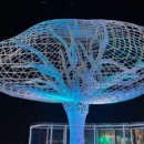 석양 속 생명의 날 이미지