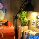 중앙동272 이미지