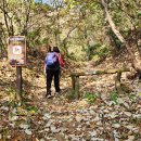 외포항1 이미지