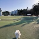 영마루공원 축구장 이미지