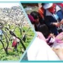 란두리 덕동마을 이미지