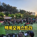 백록초등학교 | 백록오케스트라 노형동 마을사랑 음악회 공연 후기