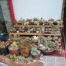 포항회식당 이미지