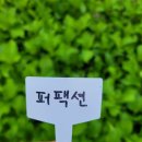 오성농원