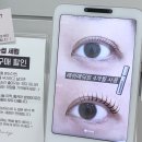 호암프라자 | 용인 죽전 속눈썹펌 추천｜보정동 브로우하지 2달 유지력 최상 후기